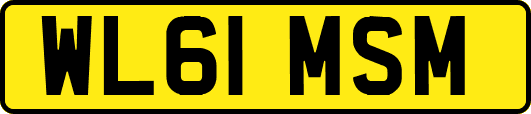 WL61MSM