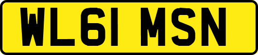 WL61MSN