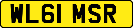 WL61MSR