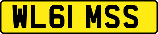 WL61MSS