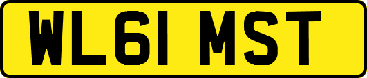 WL61MST