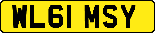 WL61MSY