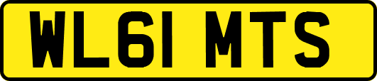 WL61MTS