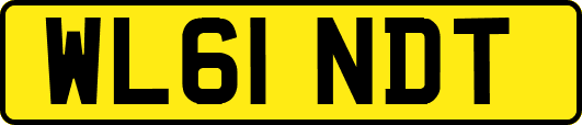WL61NDT