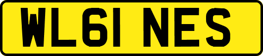 WL61NES