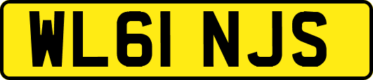 WL61NJS