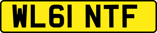 WL61NTF