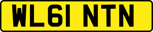 WL61NTN