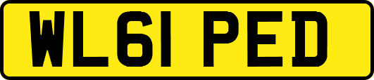 WL61PED