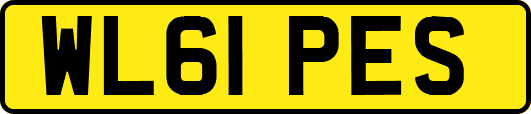 WL61PES