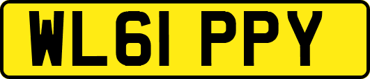 WL61PPY
