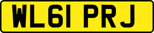 WL61PRJ