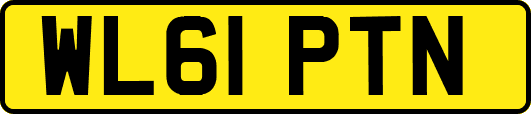WL61PTN