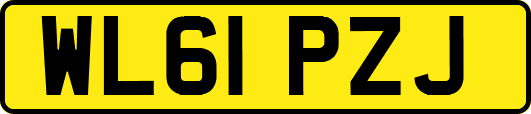 WL61PZJ