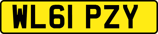 WL61PZY