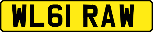 WL61RAW