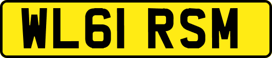 WL61RSM