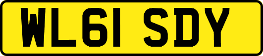 WL61SDY