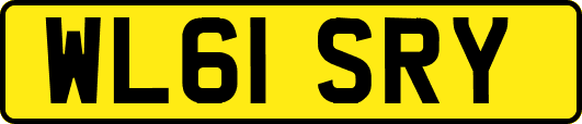 WL61SRY