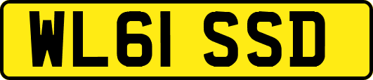 WL61SSD