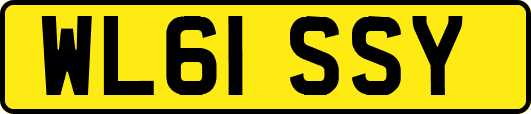 WL61SSY