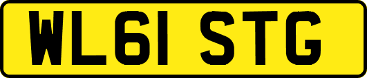 WL61STG