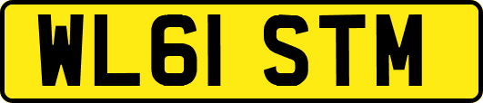 WL61STM