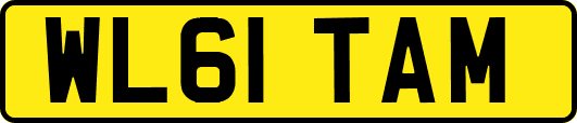 WL61TAM