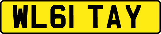 WL61TAY