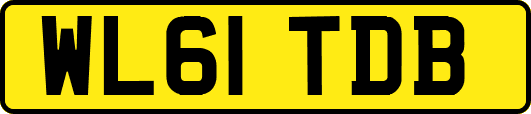 WL61TDB