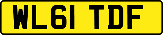 WL61TDF