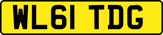 WL61TDG
