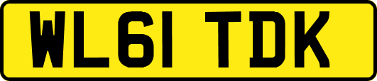 WL61TDK