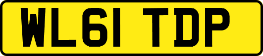WL61TDP