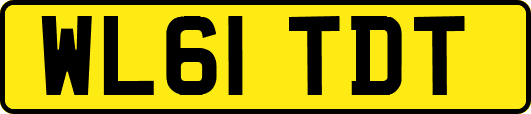 WL61TDT