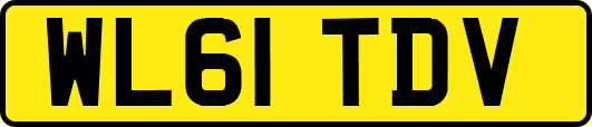 WL61TDV