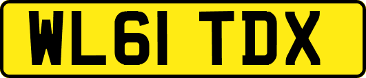 WL61TDX