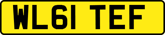 WL61TEF