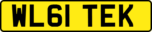 WL61TEK