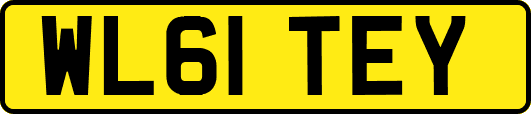 WL61TEY