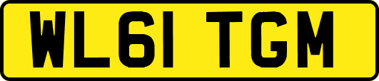 WL61TGM