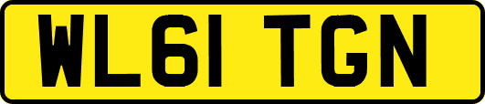 WL61TGN