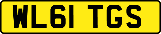 WL61TGS