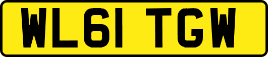 WL61TGW