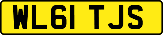 WL61TJS