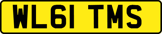 WL61TMS