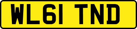 WL61TND