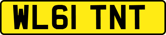 WL61TNT