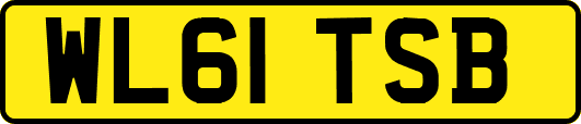 WL61TSB