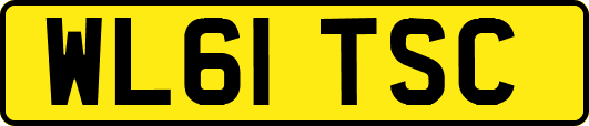 WL61TSC